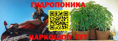 каннабис Дубна